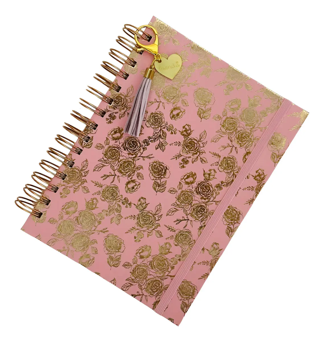 Caderno Rosas Buendia 1 materia